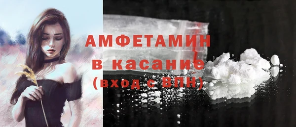 твердый Алексин