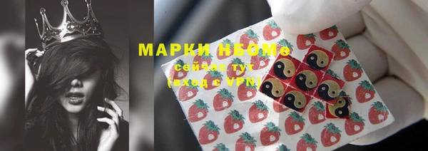 гашик Аркадак