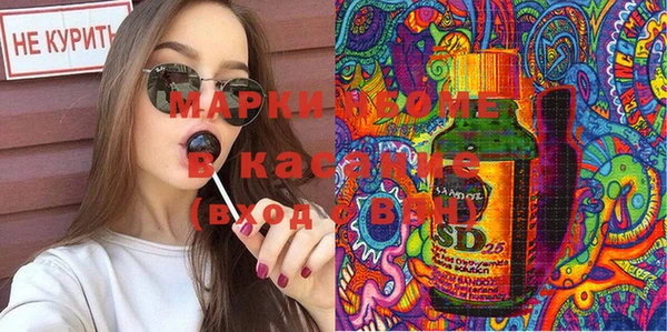 гашик Аркадак