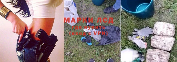 гашик Аркадак