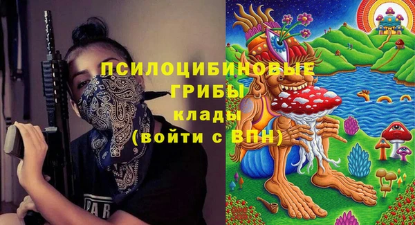 гашик Аркадак