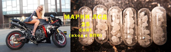 прущие грибы Фёдоровский