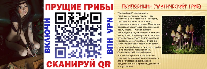 Псилоцибиновые грибы MAGIC MUSHROOMS  как найти закладки  Черкесск 